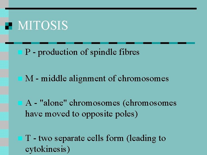 MITOSIS n P - production of spindle fibres n M - middle alignment of