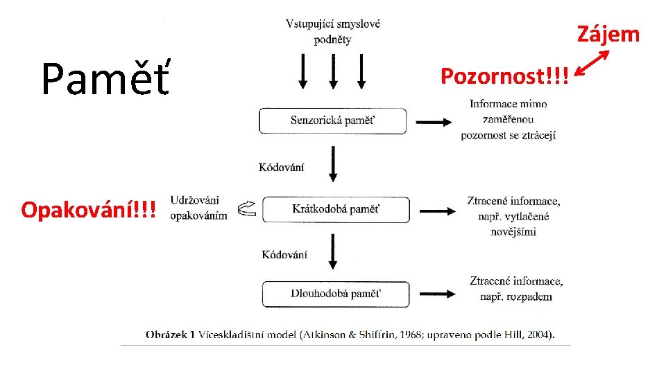 Paměť Opakování!!! Zájem Pozornost!!! 