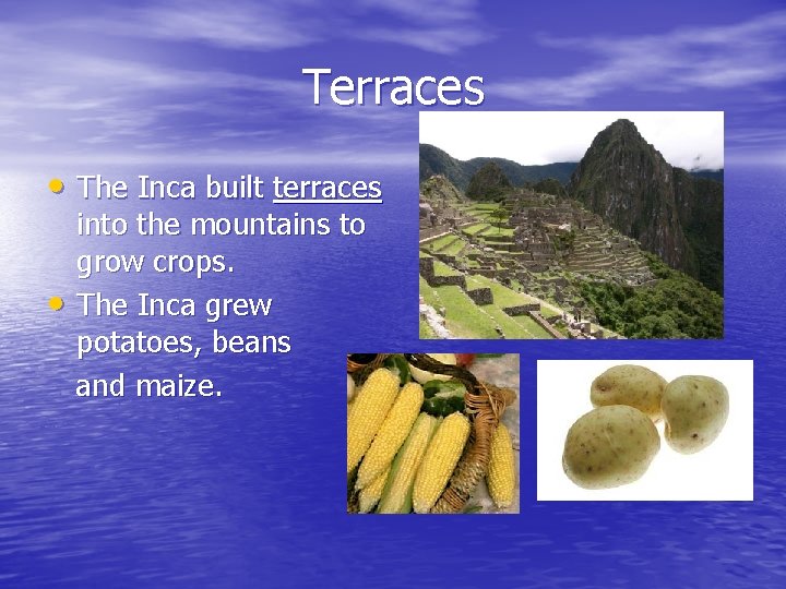 Terraces • The Inca built terraces • into the mountains to grow crops. The Terraces • The Inca built terraces • into the mountains to grow crops. The