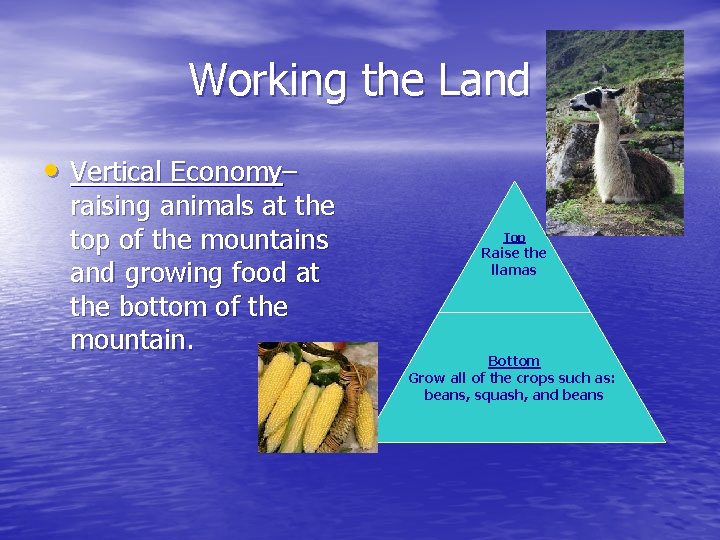 Working the Land • Vertical Economy– raising animals at the top of the mountains Working the Land • Vertical Economy– raising animals at the top of the mountains