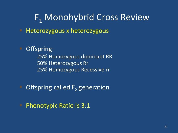 F 1 Monohybrid Cross Review § Heterozygous x heterozygous § Offspring: 25% Homozygous dominant