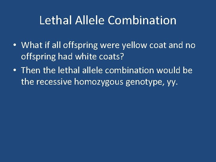 Lethal Allele Combination • What if all offspring were yellow coat and no offspring