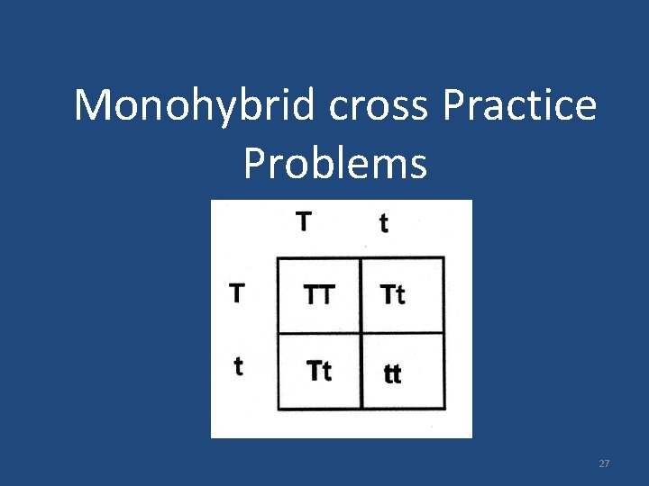 Monohybrid cross Practice Problems 27 
