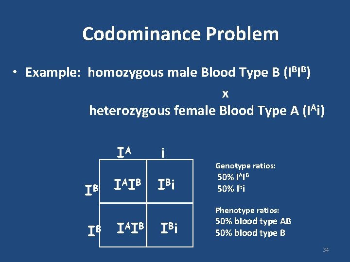 Codominance Problem • Example: homozygous male Blood Type B (IBIB) x heterozygous female Blood