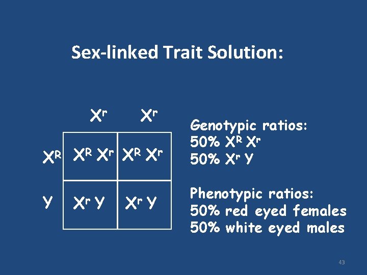 Sex-linked Trait Solution: Xr Xr XR XR Xr Y Genotypic ratios: 50% XR Xr