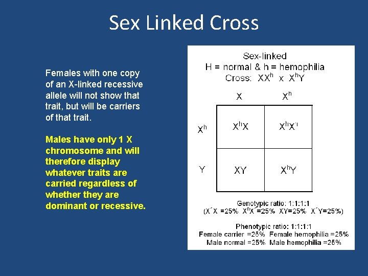 Sex Linked Cross Females with one copy of an X-linked recessive allele will not