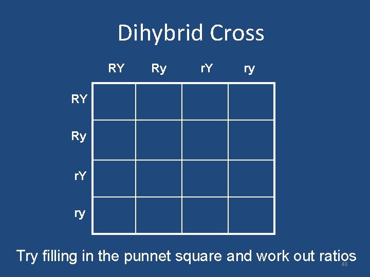 Dihybrid Cross RY Ry r. Y ry Try filling in the punnet square and