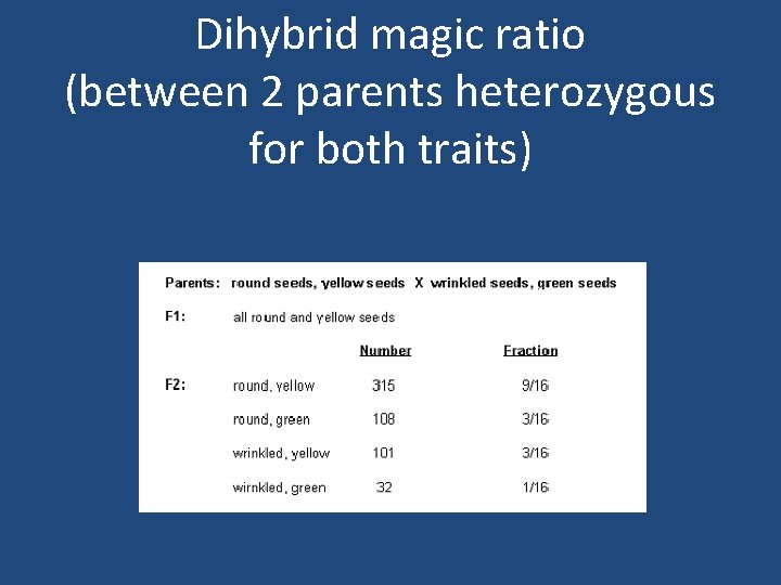Dihybrid magic ratio (between 2 parents heterozygous for both traits) 