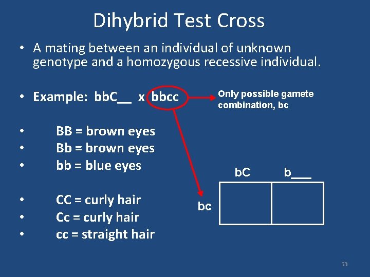 Dihybrid Test Cross • A mating between an individual of unknown genotype and a