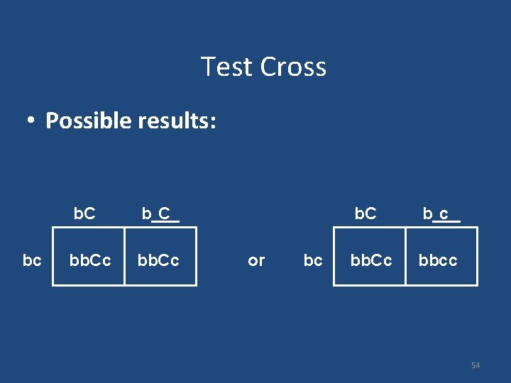 Test Cross • Possible results: bc b. C b___ C bb. Cc or bc