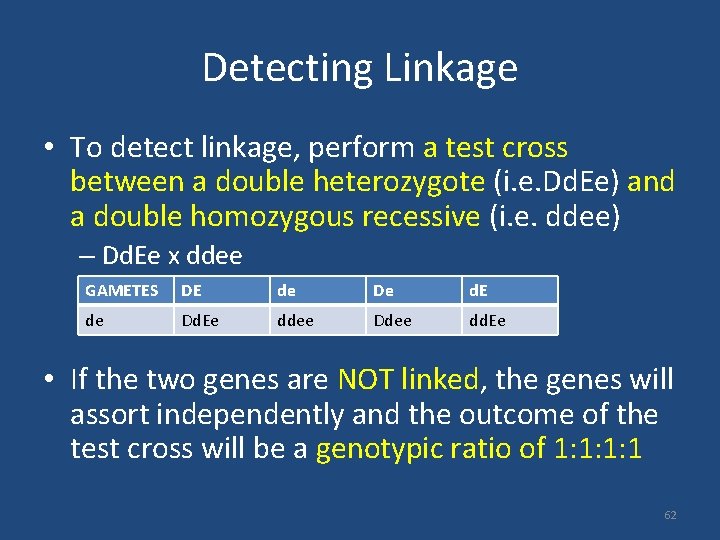 Detecting Linkage • To detect linkage, perform a test cross between a double heterozygote