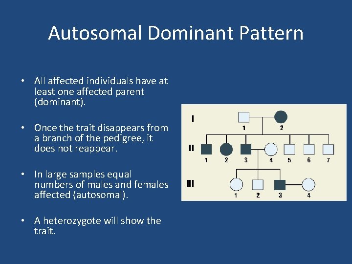 Autosomal Dominant Pattern • All affected individuals have at least one affected parent (dominant).