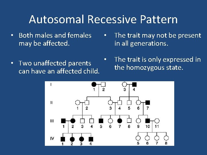 Autosomal Recessive Pattern • Both males and females may be affected. • The trait