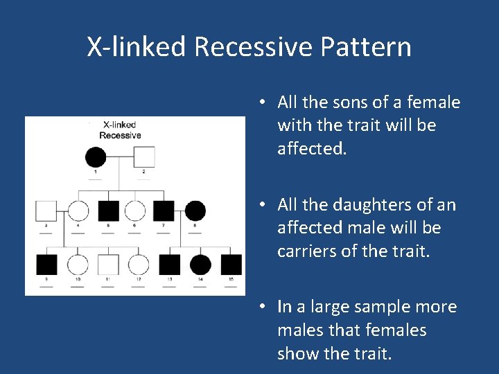 X-linked Recessive Pattern • All the sons of a female with the trait will
