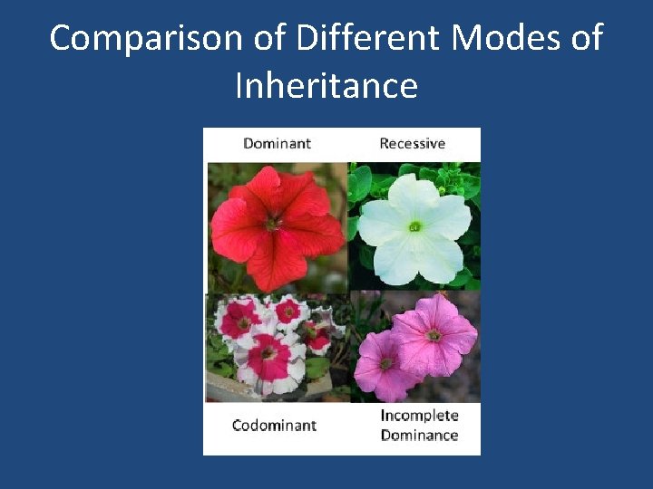 Comparison of Different Modes of Inheritance 
