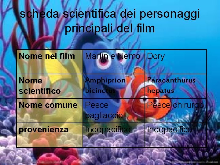 scheda scientifica dei personaggi principali del film Nome nel film Marlin e Nemo Dory