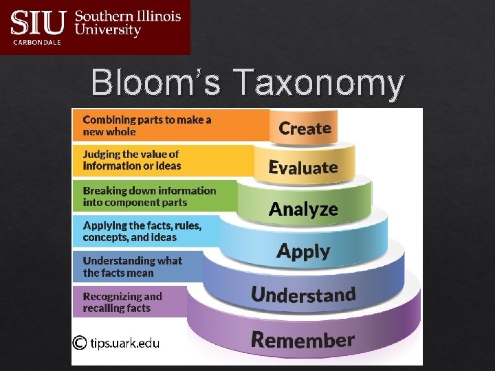 Bloom’s Taxonomy 