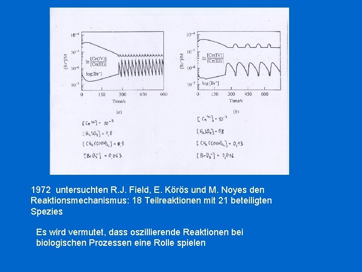 1972 untersuchten R. J. Field, E. Körös und M. Noyes den Reaktionsmechanismus: 18 Teilreaktionen