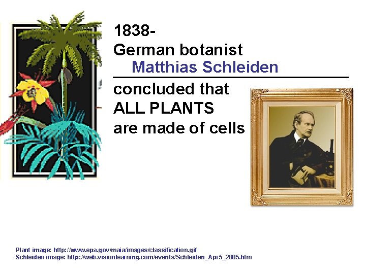 1838 German botanist Matthias Schleiden _____________ concluded that ALL PLANTS are made of cells