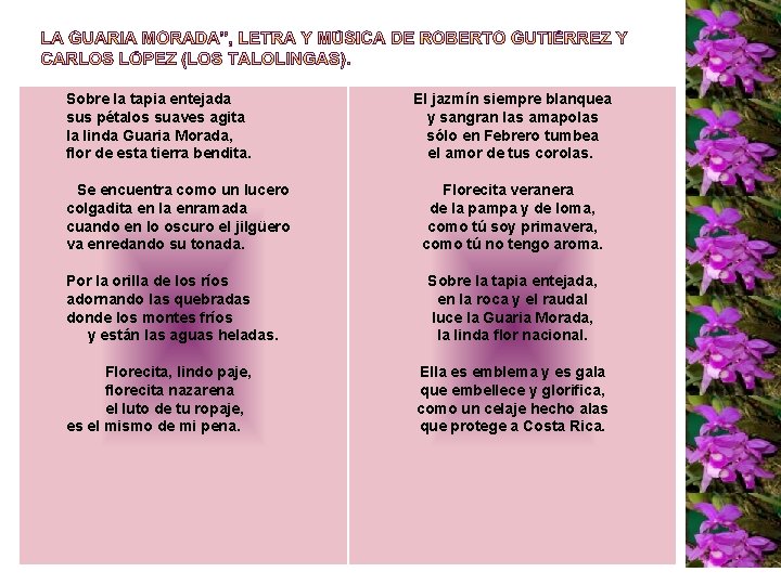 Sobre la tapia entejada sus pétalos suaves agita la linda Guaria Morada, flor de