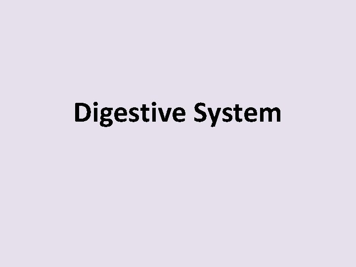 Digestive System 