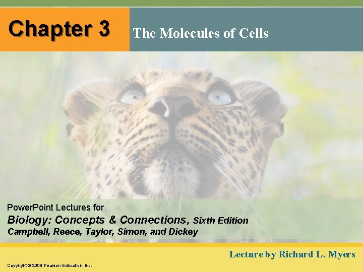 Chapter 3 The Molecules of Cells Power. Point Lectures for Biology: Concepts & Connections,