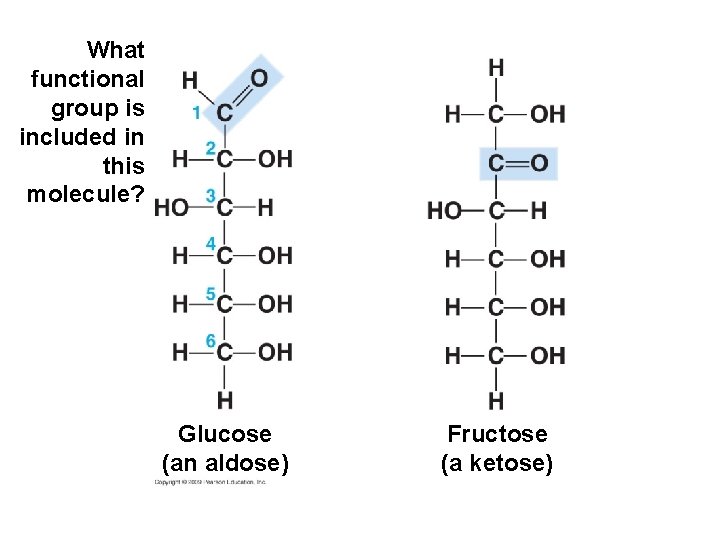 What functional group is included in this molecule? Glucose (an aldose) Fructose (a ketose)