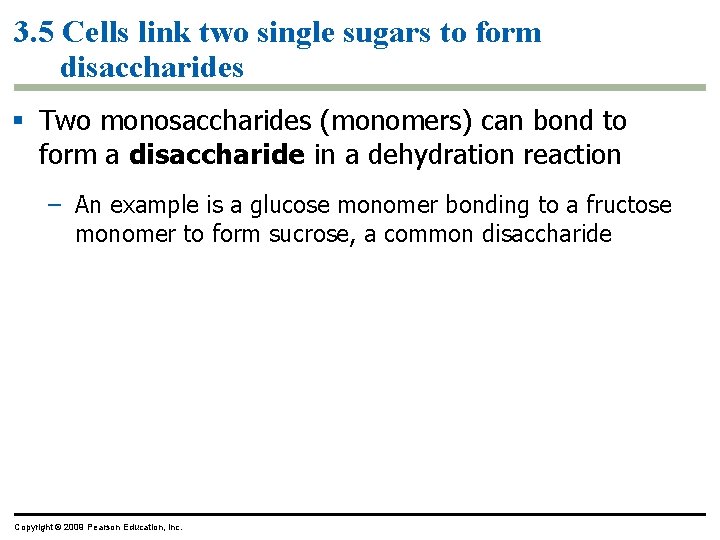 3. 5 Cells link two single sugars to form disaccharides § Two monosaccharides (monomers)