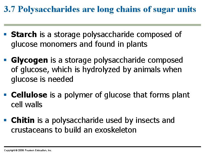 3. 7 Polysaccharides are long chains of sugar units § Starch is a storage