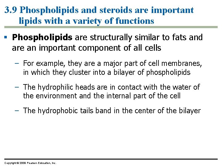 3. 9 Phospholipids and steroids are important lipids with a variety of functions §