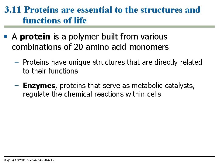 3. 11 Proteins are essential to the structures and functions of life § A