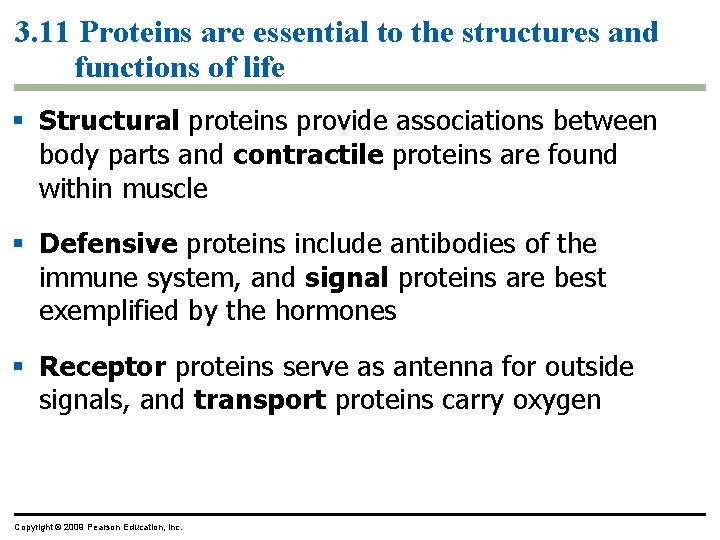 3. 11 Proteins are essential to the structures and functions of life § Structural