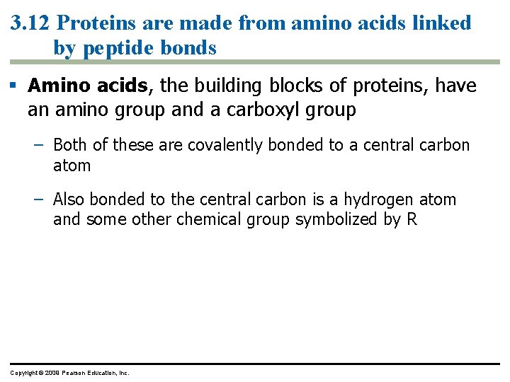 3. 12 Proteins are made from amino acids linked by peptide bonds § Amino