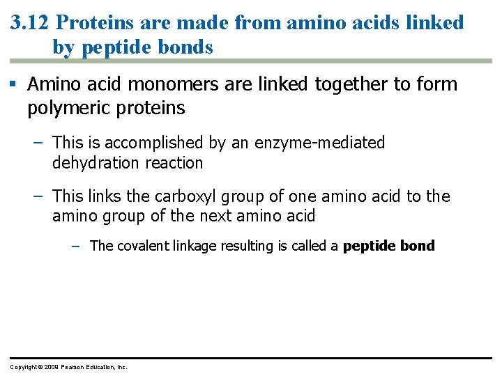 3. 12 Proteins are made from amino acids linked by peptide bonds § Amino