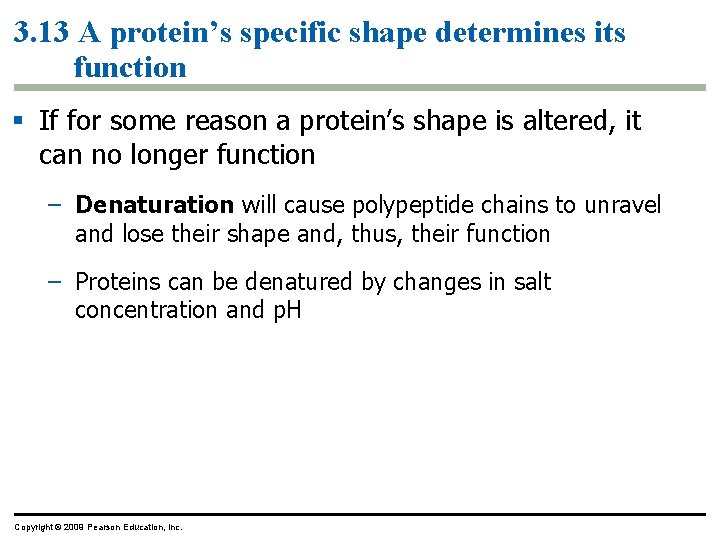 3. 13 A protein’s specific shape determines its function § If for some reason