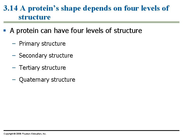 3. 14 A protein’s shape depends on four levels of structure § A protein