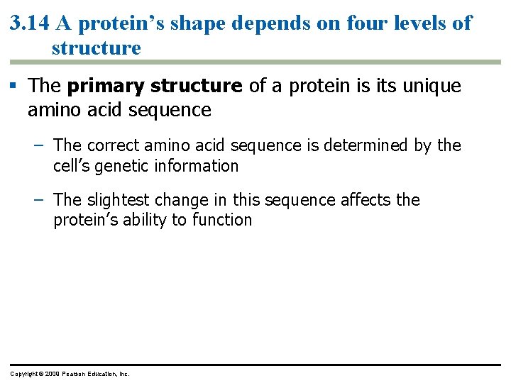 3. 14 A protein’s shape depends on four levels of structure § The primary