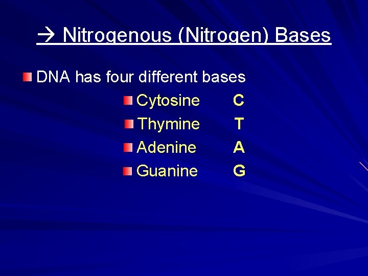  Nitrogenous (Nitrogen) Bases DNA has four different bases Cytosine C Thymine T Adenine