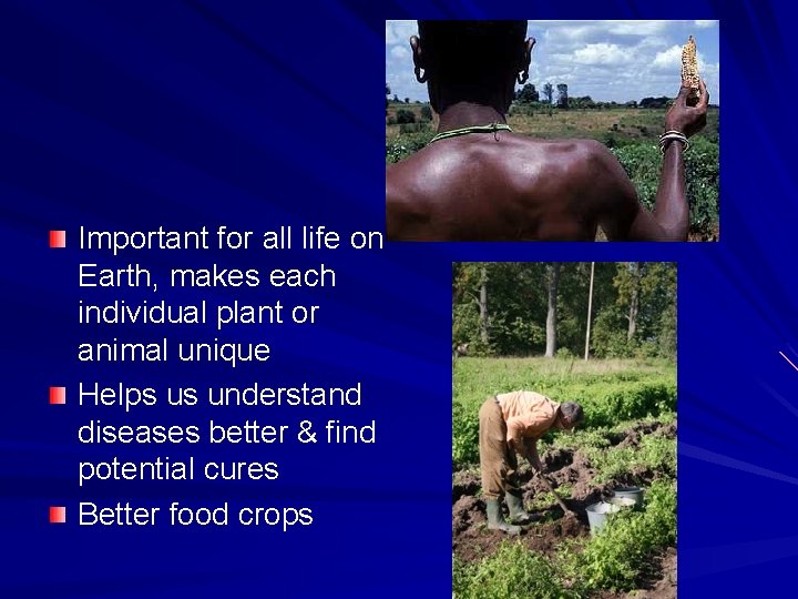 Important for all life on Earth, makes each individual plant or animal unique Helps
