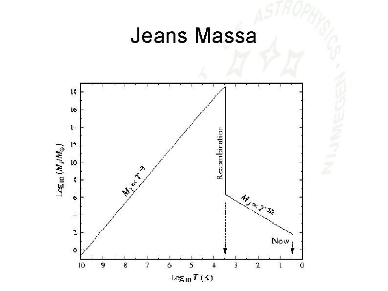 Jeans Massa 