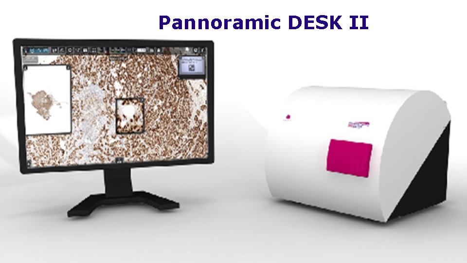 Pannoramic DESK II 