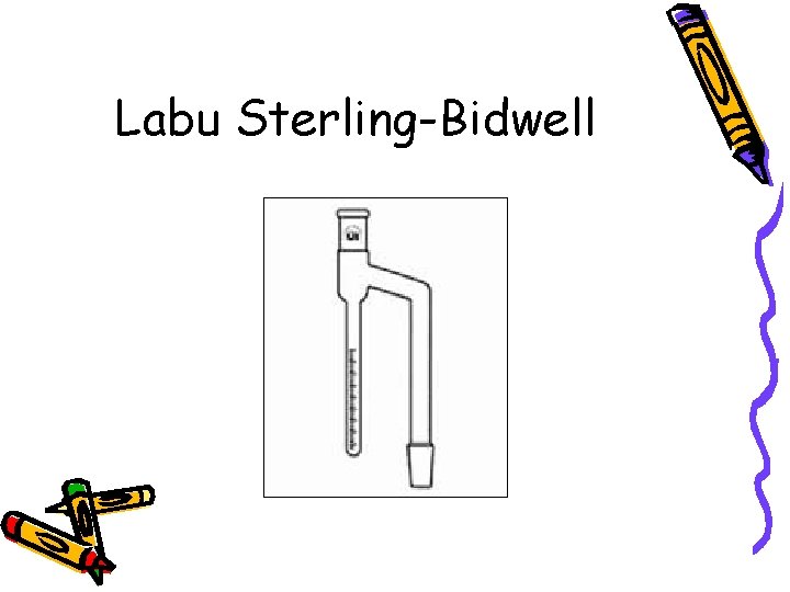 Labu Sterling-Bidwell 