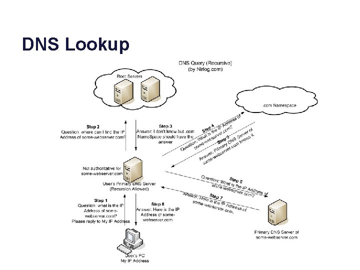 DNS Lookup 