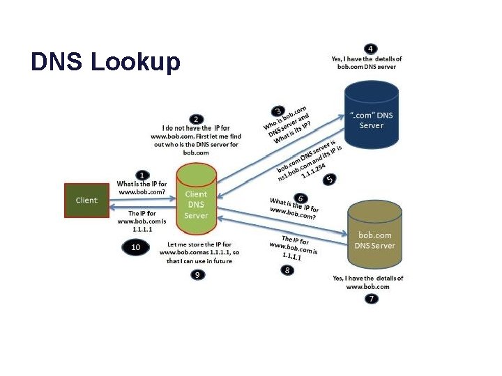 DNS Lookup 