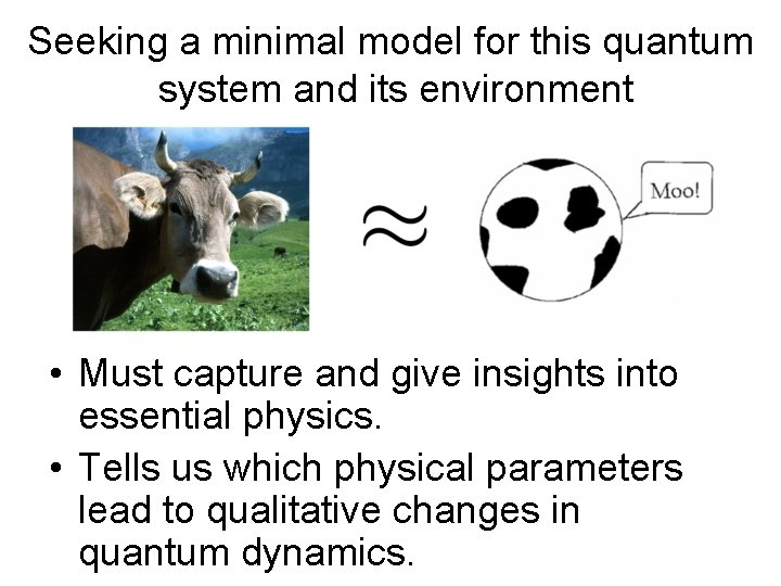 Seeking a minimal model for this quantum system and its environment • Must capture