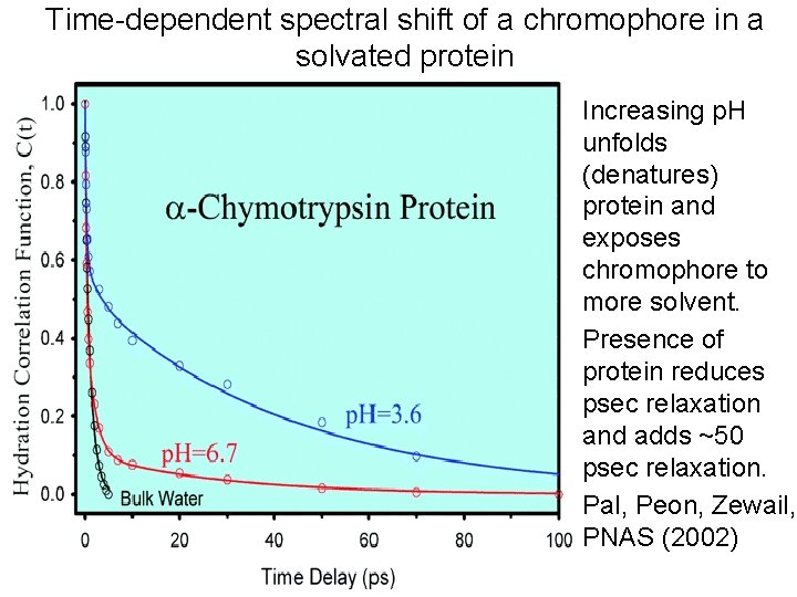 Time-dependent spectral shift of a chromophore in a solvated protein • Increasing p. H