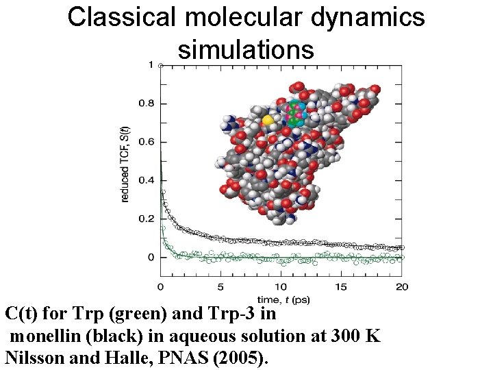 Classical molecular dynamics simulations C(t) for Trp (green) and Trp-3 in monellin (black) in
