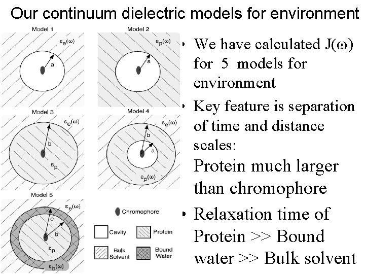 Our continuum dielectric models for environment • We have calculated J(w) for 5 models