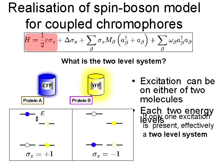 Realisation of spin-boson model for coupled chromophores What is the two level system? •