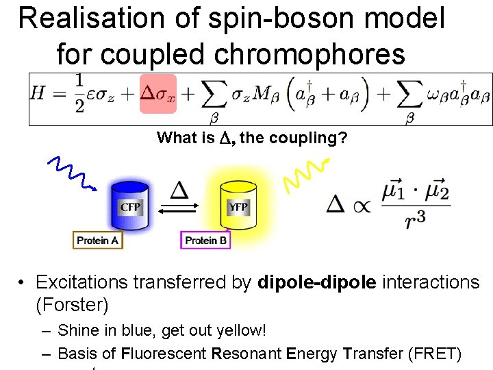 Realisation of spin-boson model for coupled chromophores What is the coupling? • Excitations transferred